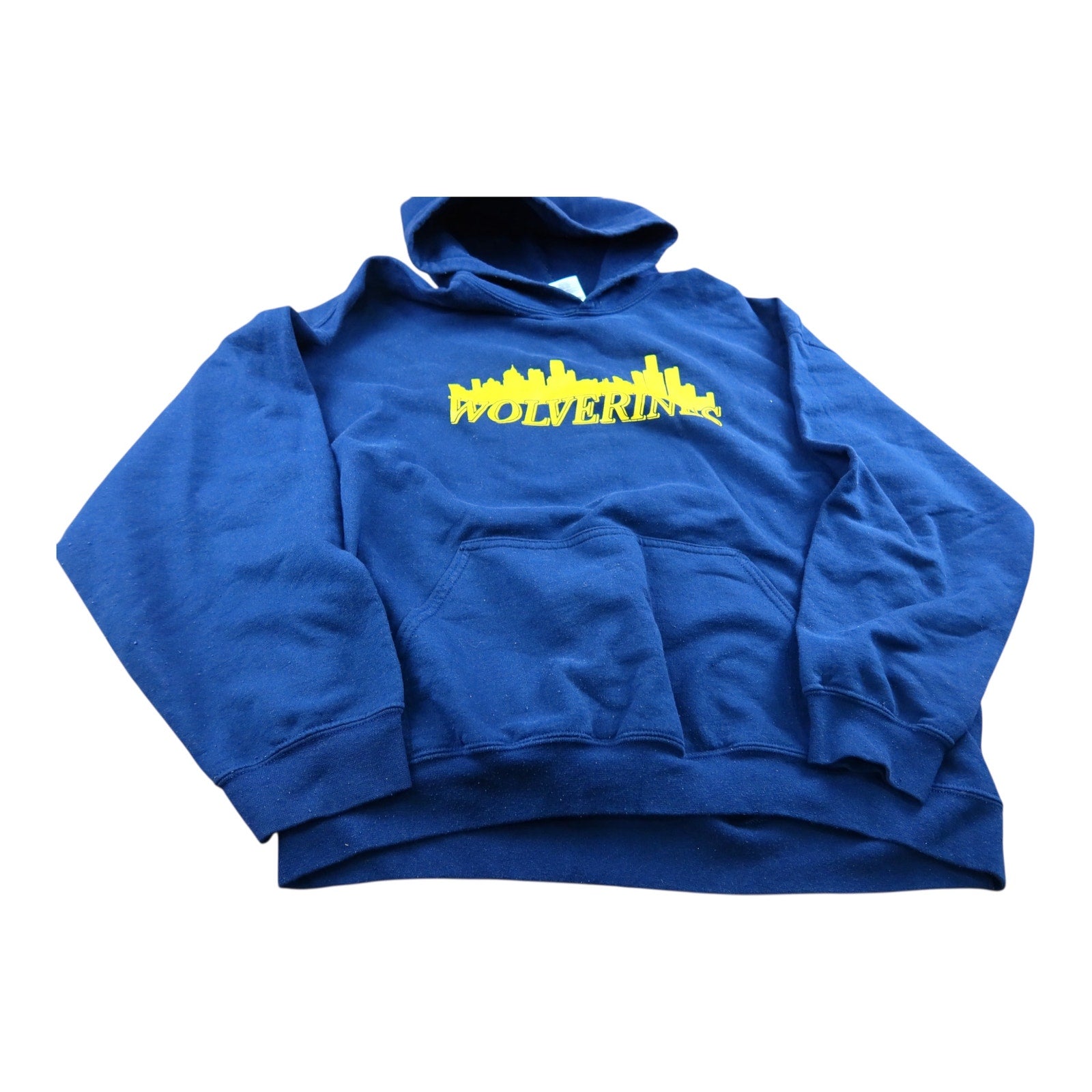 Michigan Wolverines Pride Blue Hoodie Men's XL