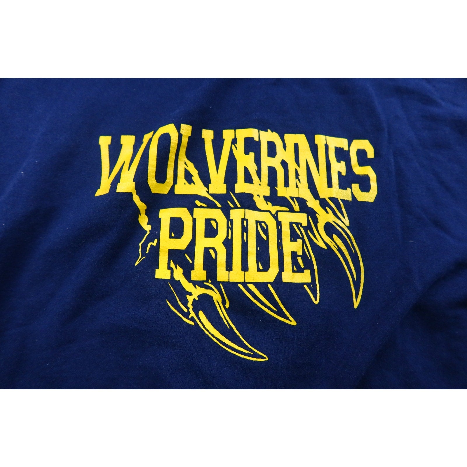 Michigan Wolverines Pride Blue Hoodie Men's XL